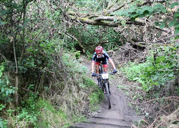 Vayamundo Üdülőközpont